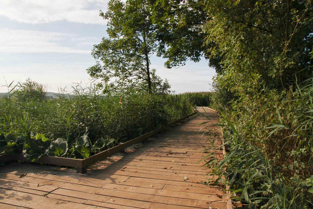 Villa Terre D'O Pecq Exterior foto